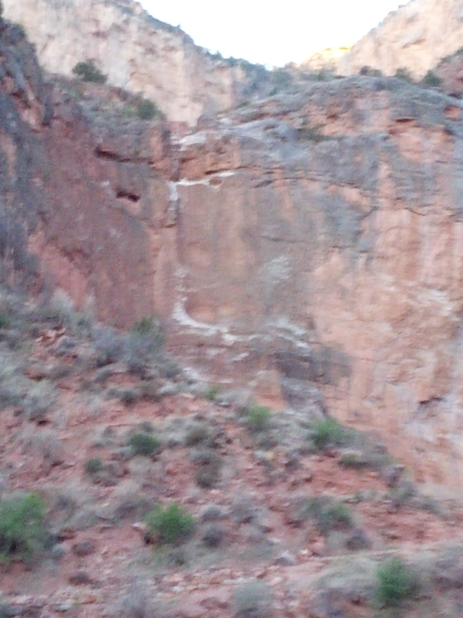 IMG_20130317_065220.jpg